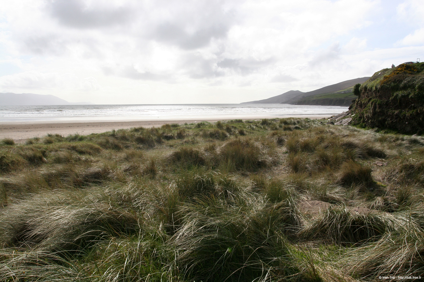 20050417_inchstrand_02