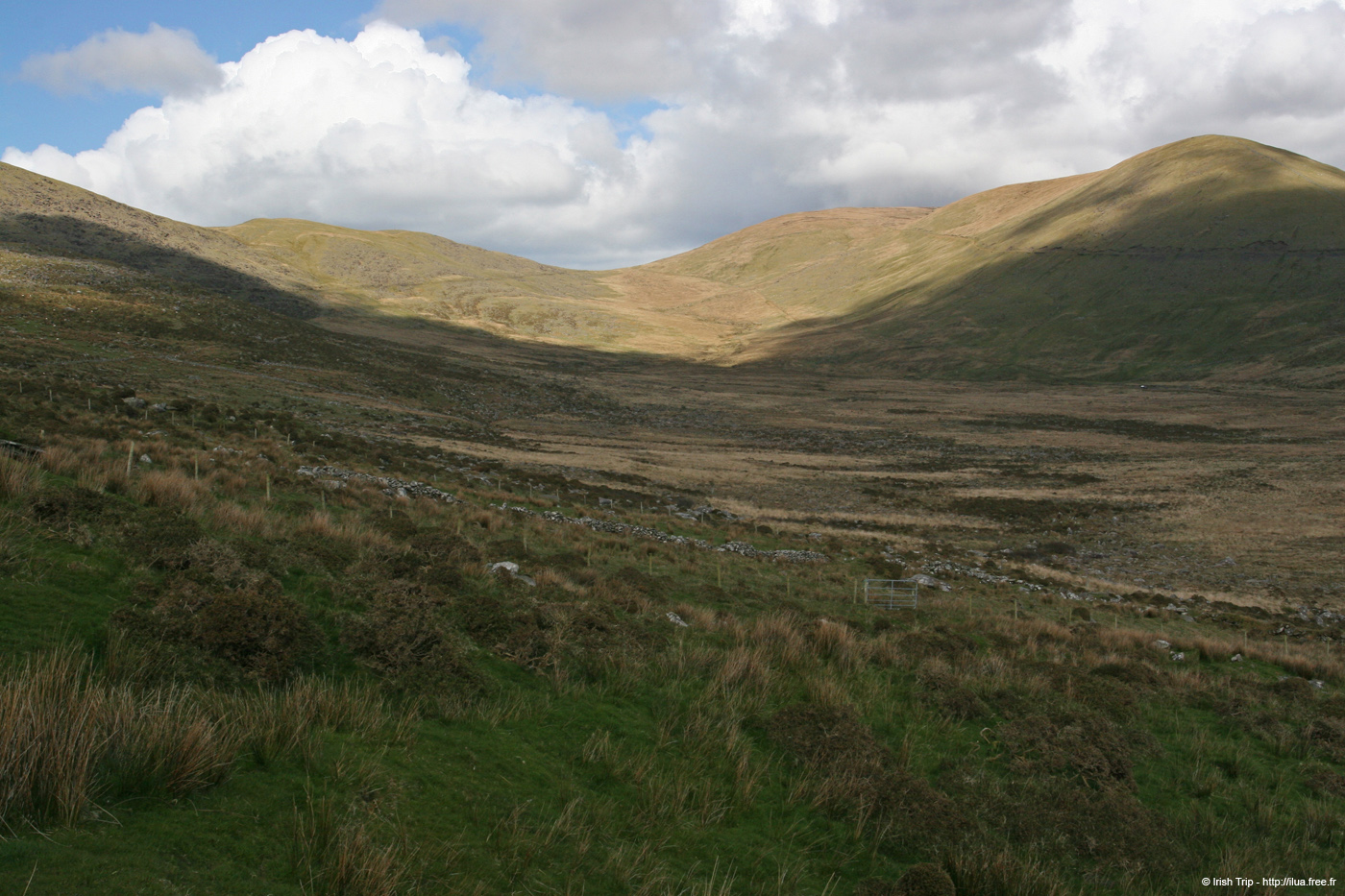 20050418_connorpass_04