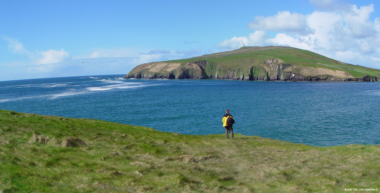 20050418_dinglebay_04