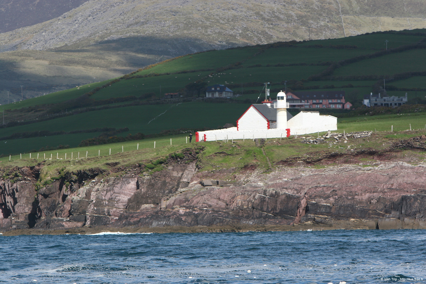20050418_dinglebay_06