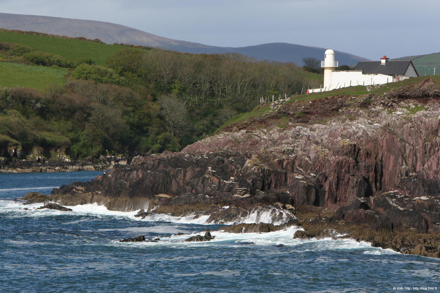 20050418_dinglebay_07