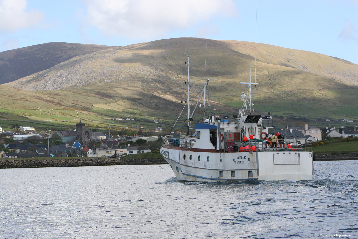 20050418_dinglebay_10