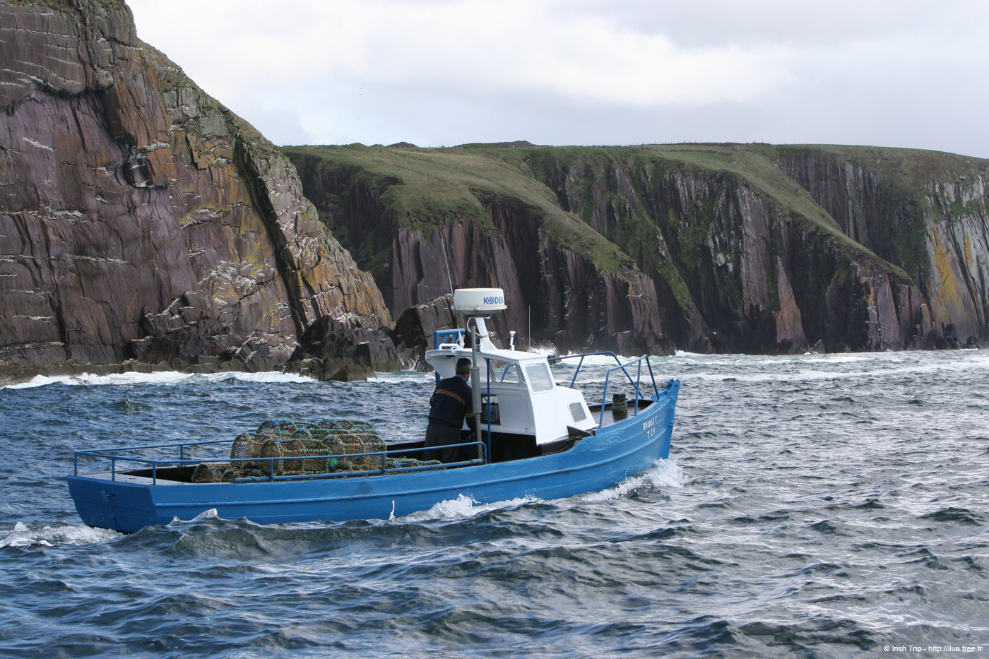 20050418_dinglebay_11