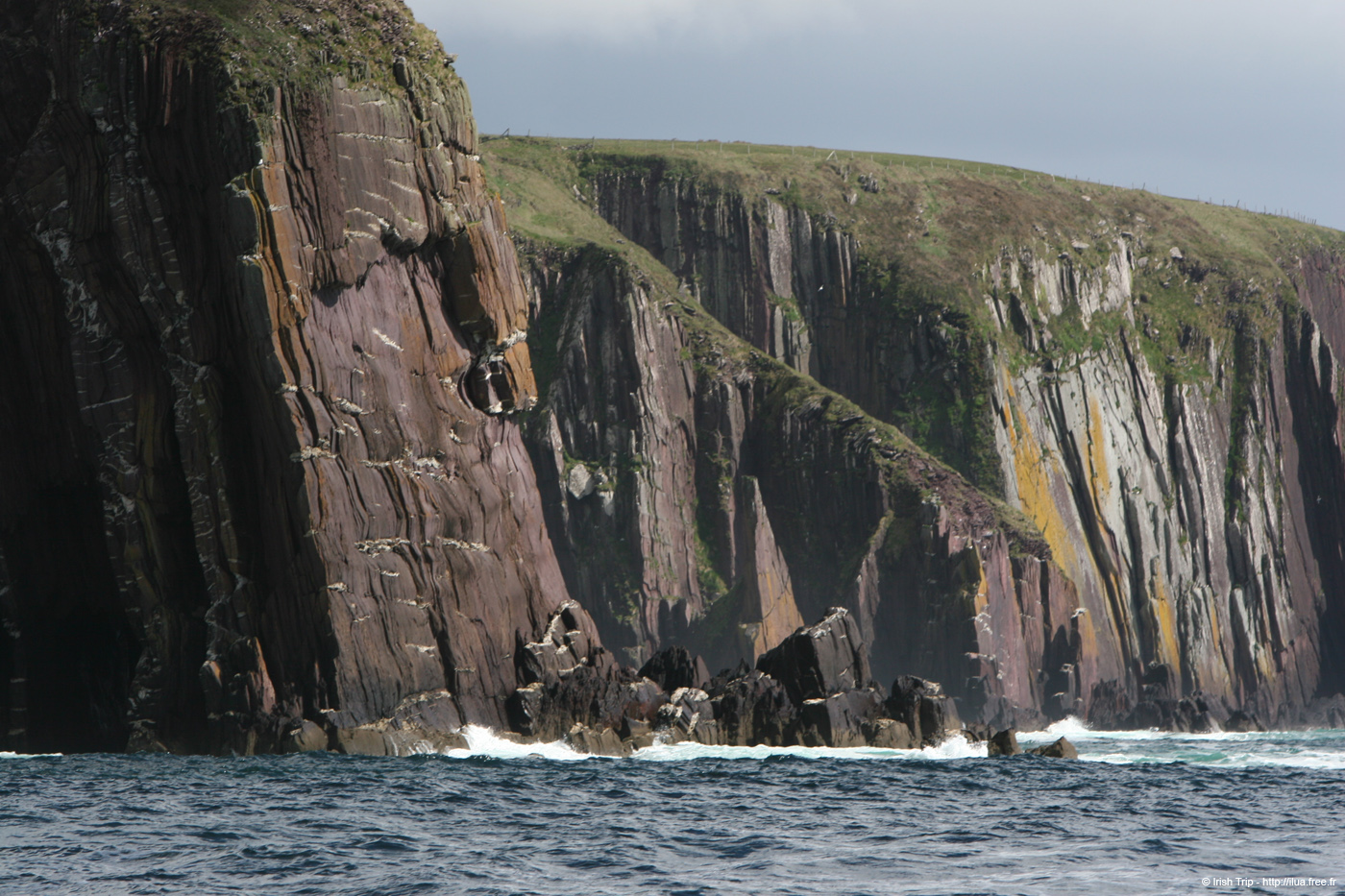 20050418_dinglebay_12