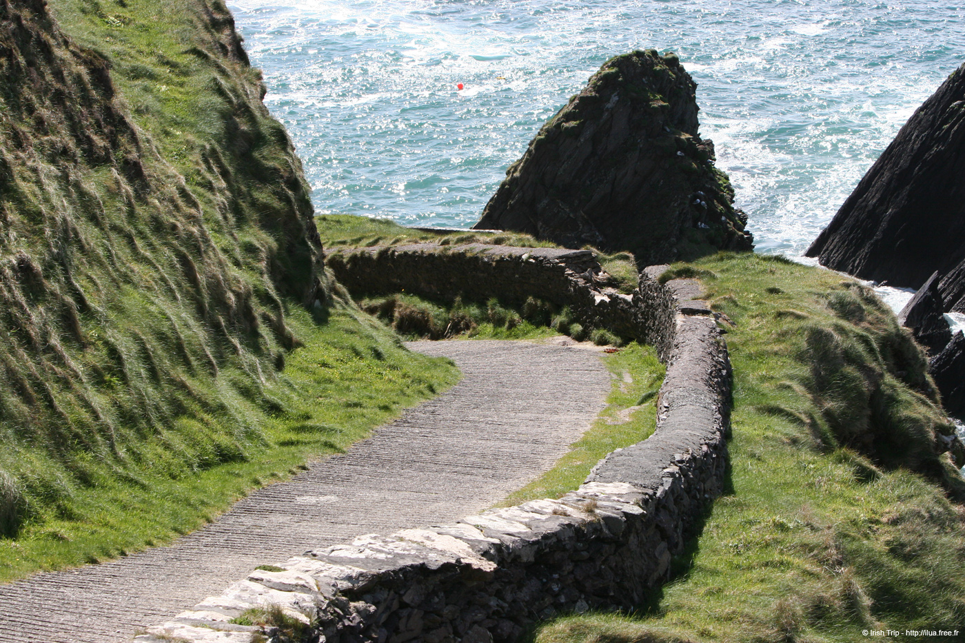 20050418_sleahead_15