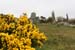 20050417_12stonecircle_02