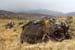 20050417_blackvalley_02