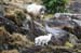 20050417_gapofdunloe_02