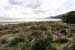 20050417_inchstrand_02