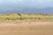 20050417_inchstrand_06