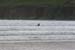 20050417_inchstrand_08