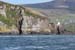 20050418_dinglebay_09