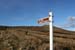 20050418_saucecreek_01