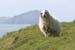 20050418_sleahead_10