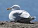 20050418_sleahead_11