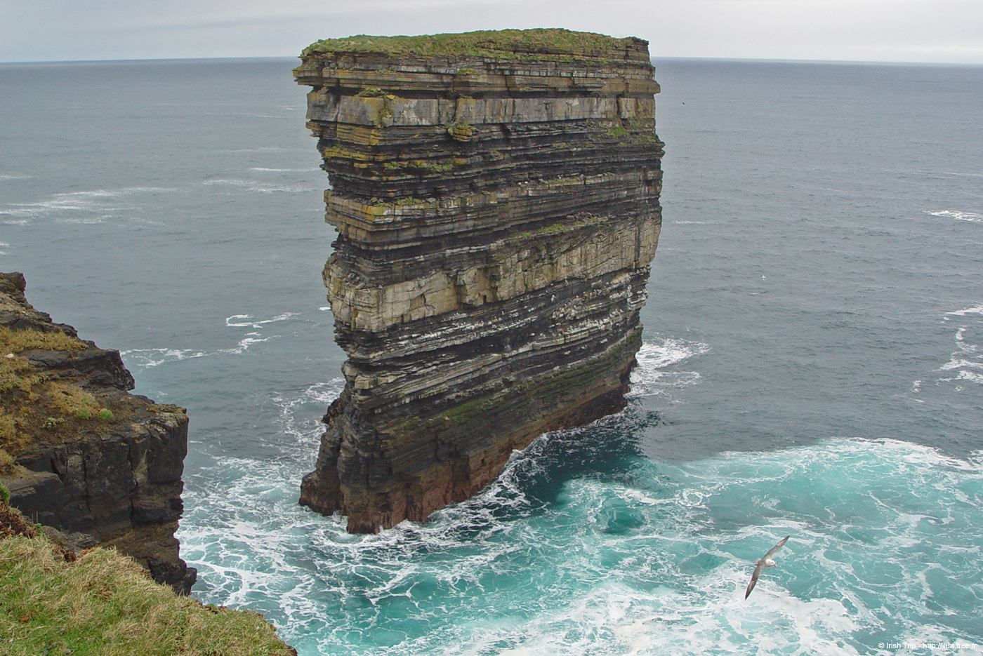 20060330_3_downpatrickhead_02