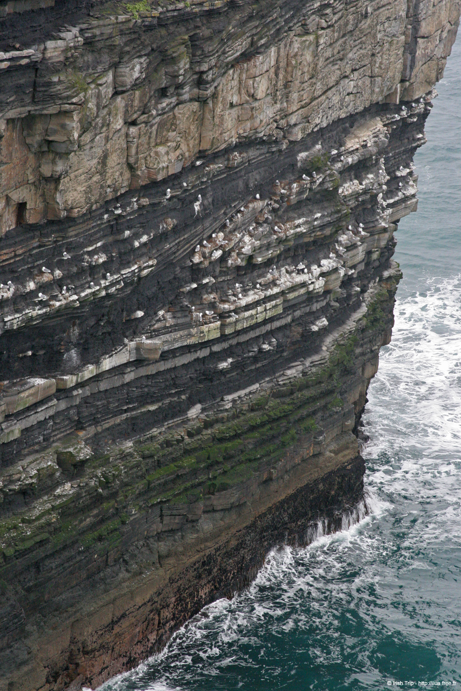 20060330_5_downpatrickhead_02