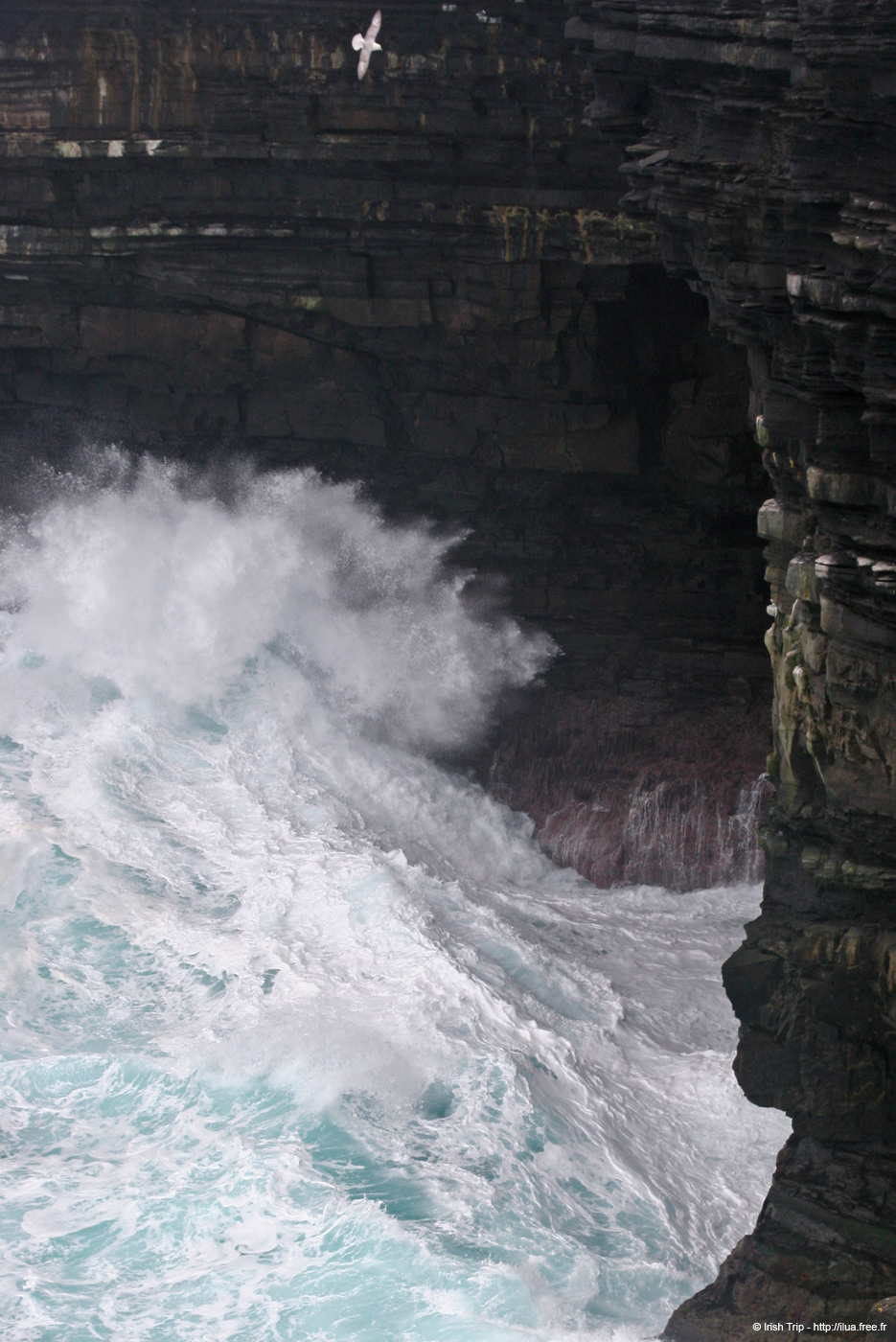 20060330_5_downpatrickhead_03