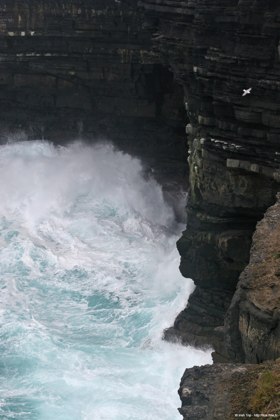 20060330_5_downpatrickhead_04