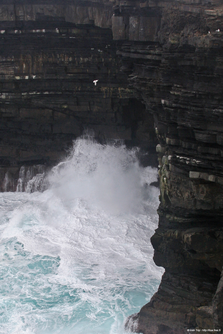 20060330_5_downpatrickhead_05