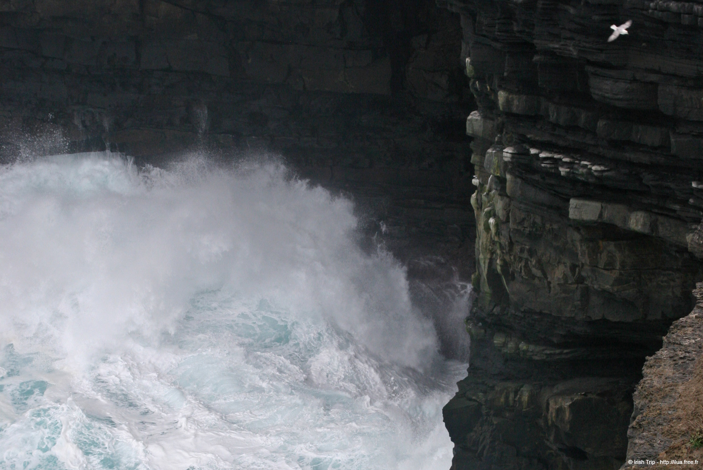 20060330_5_downpatrickhead_06