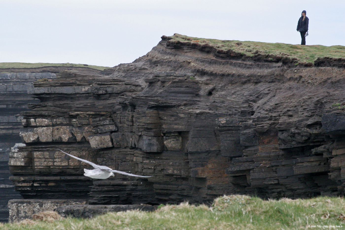 20060330_5_downpatrickhead_11