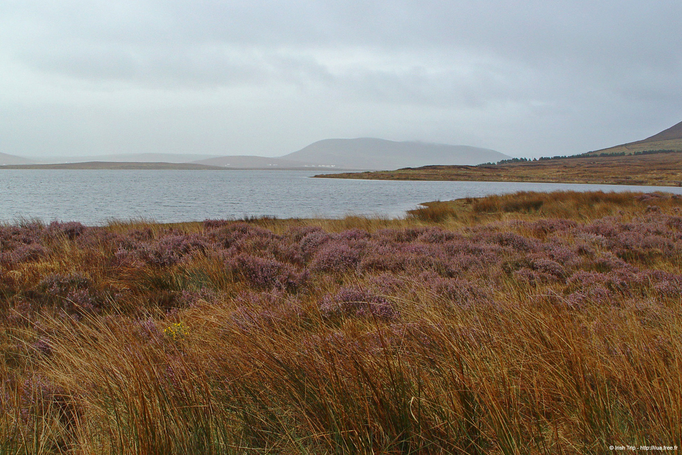 20060330_mayo_carrowmorelake