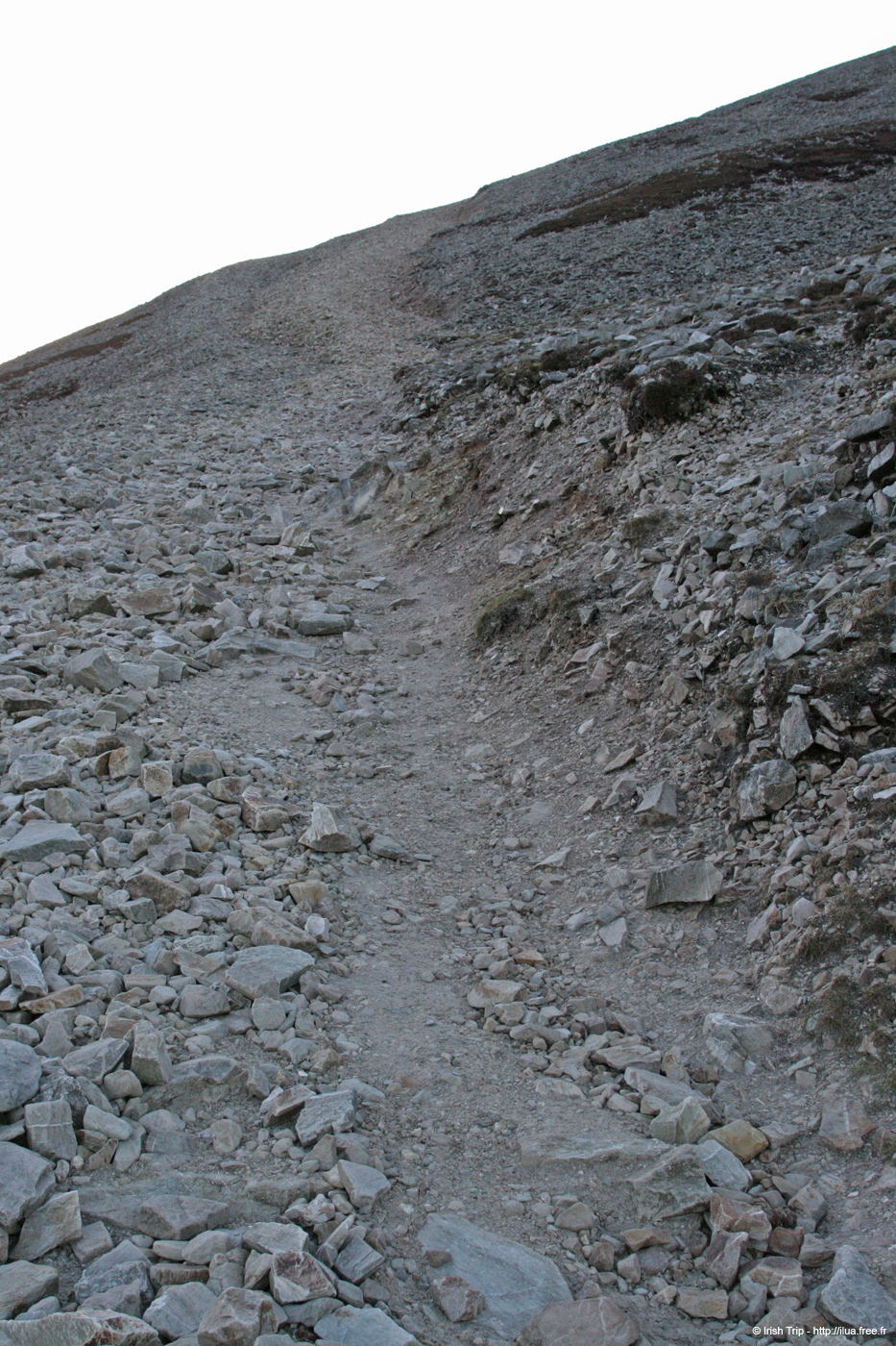 20060331_5_sentiercroaghpatrick_pentessud_2