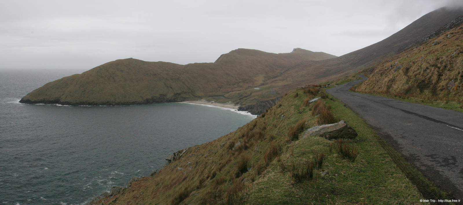 20060331_achillhead_01