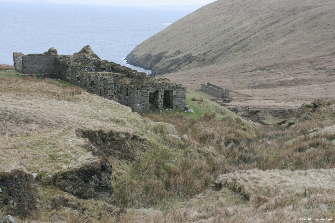 20060331_achillhead_03
