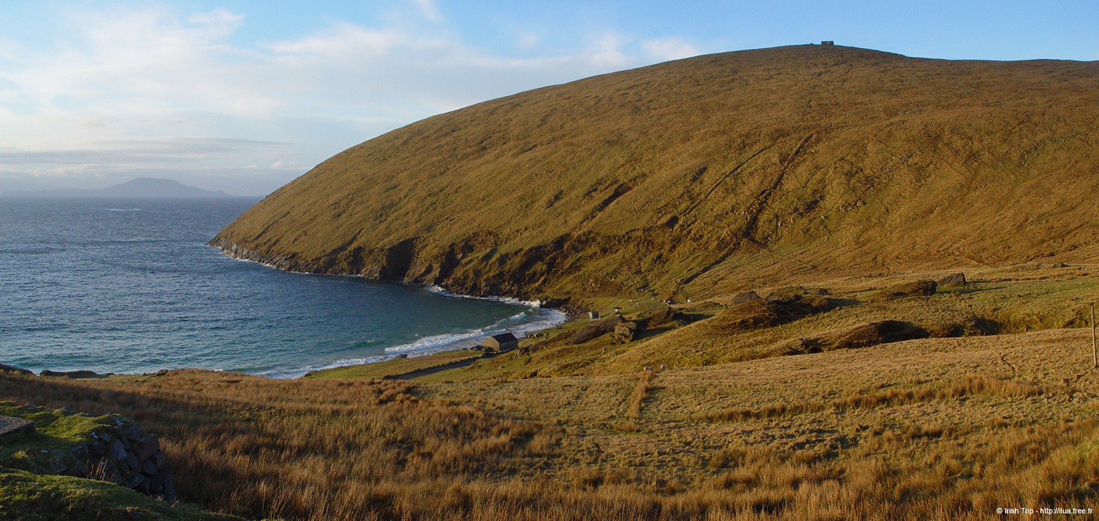 20060331_achillhead_04
