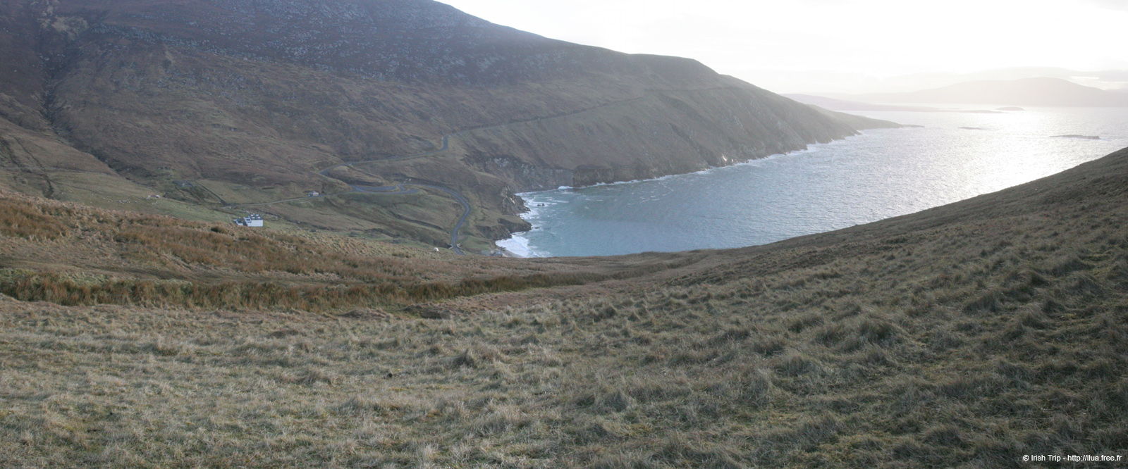 20060331_achillhead_05
