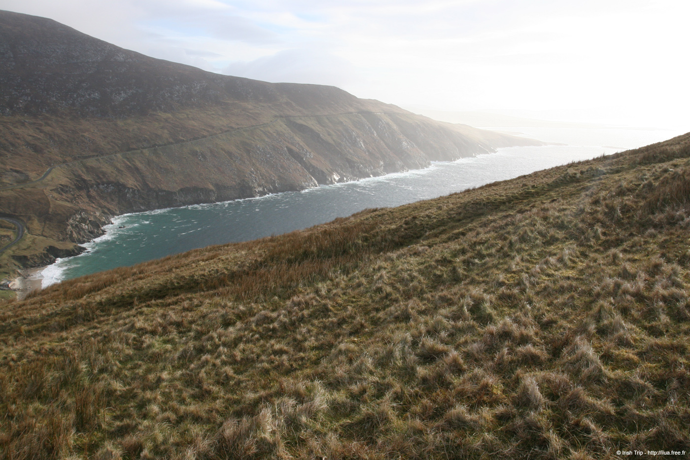 20060331_achillhead_09