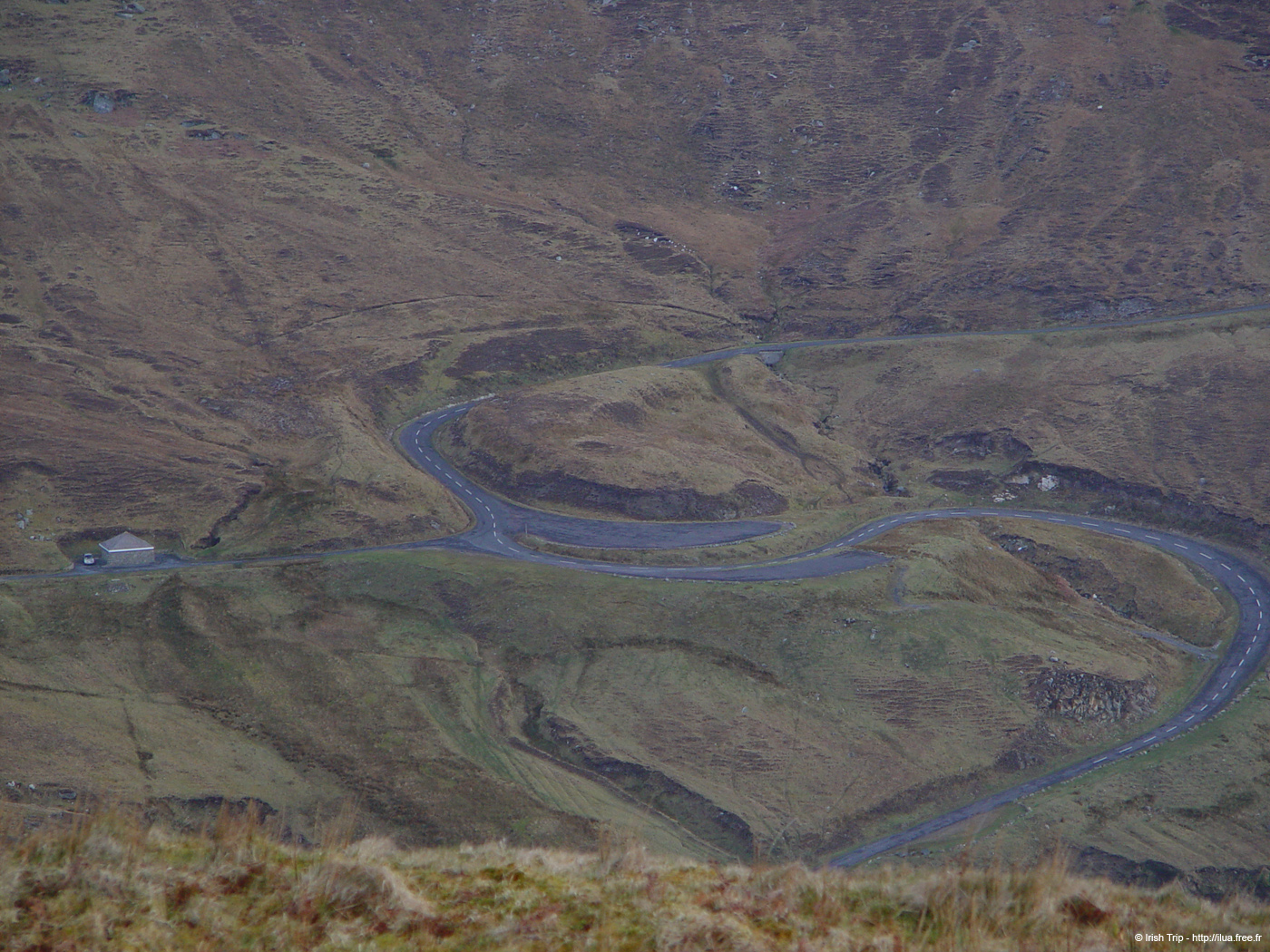 20060331_achillhead_10