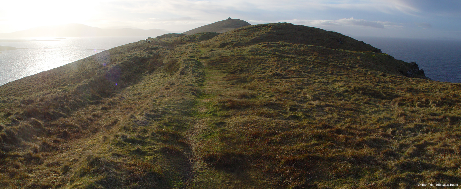 20060331_achillhead_17
