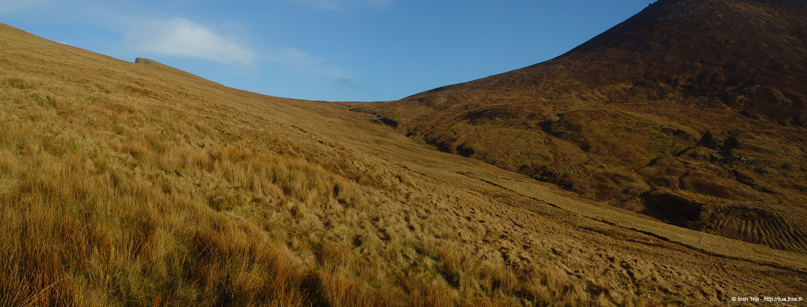 20060331_achillhead_19