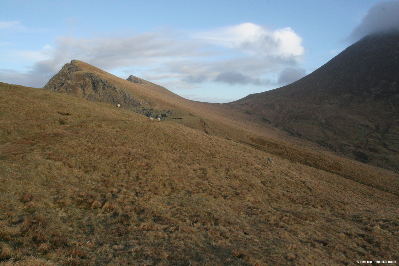 20060331_achillhead_26