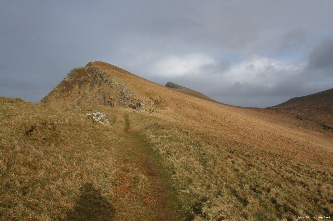 20060331_achillhead_27