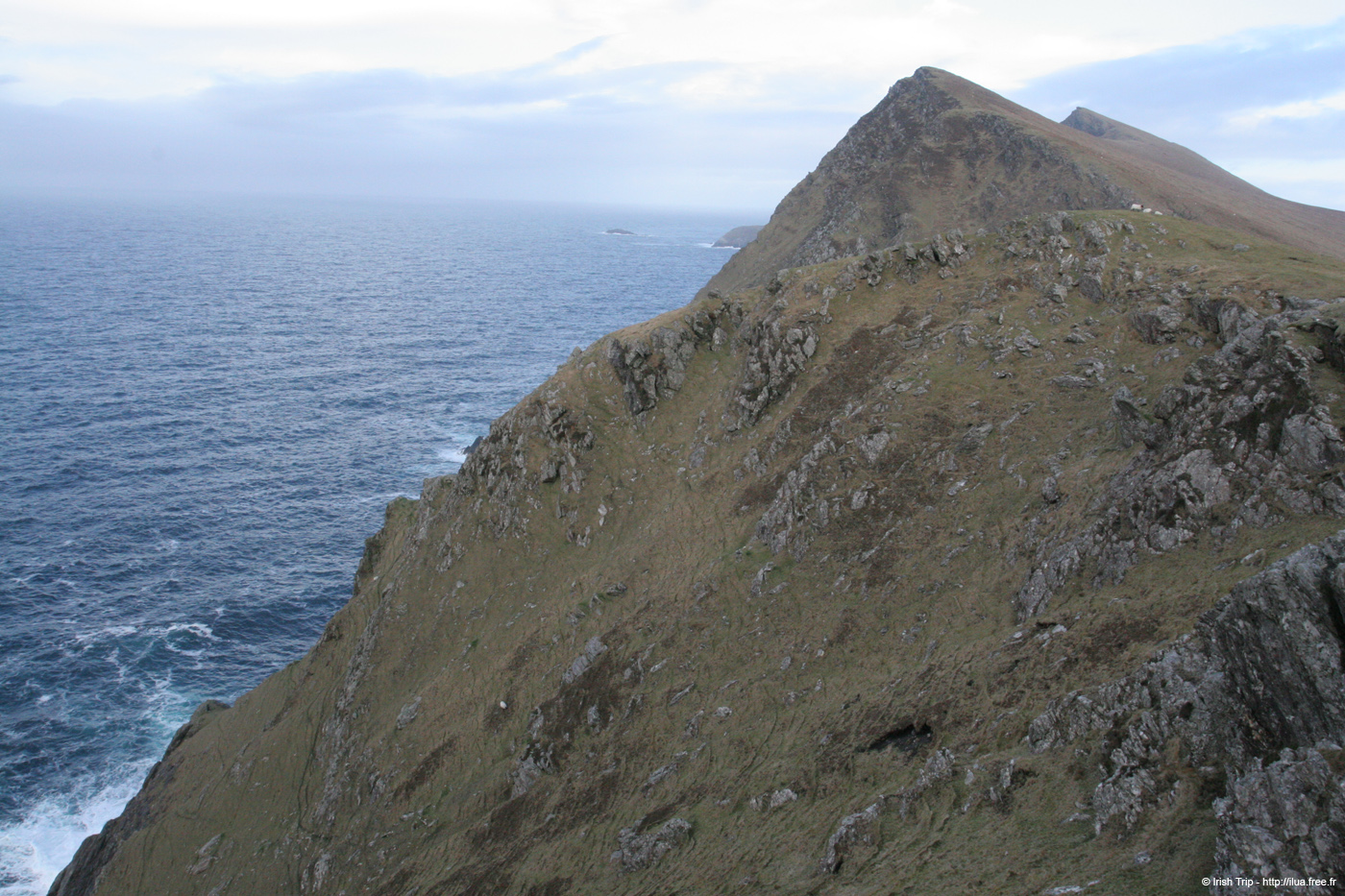20060331_achillhead_29