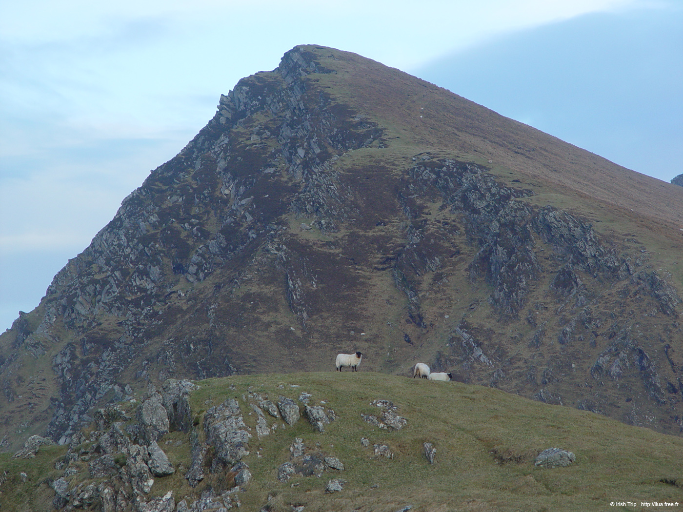20060331_achillhead_30