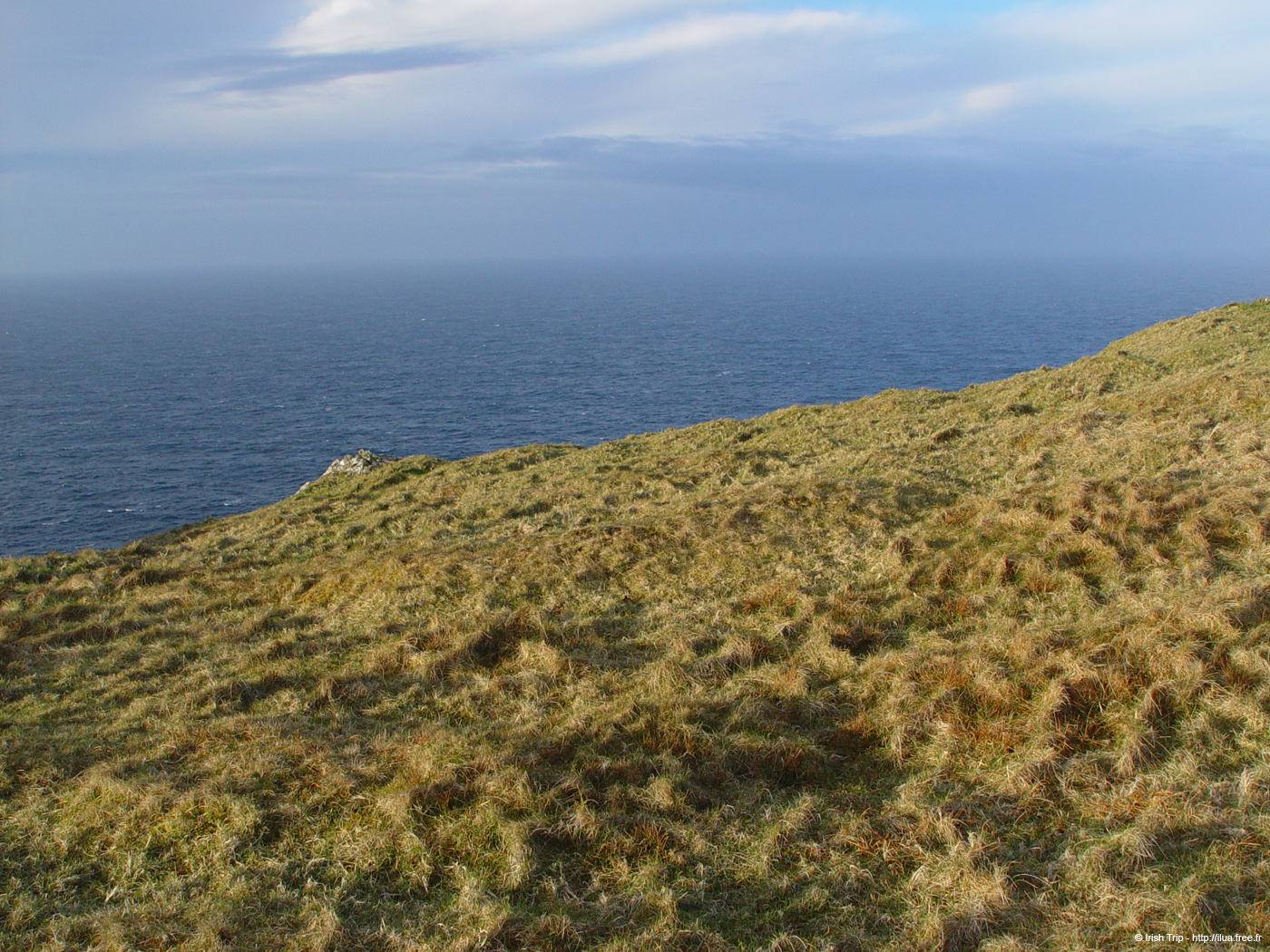20060331_achillhead_31