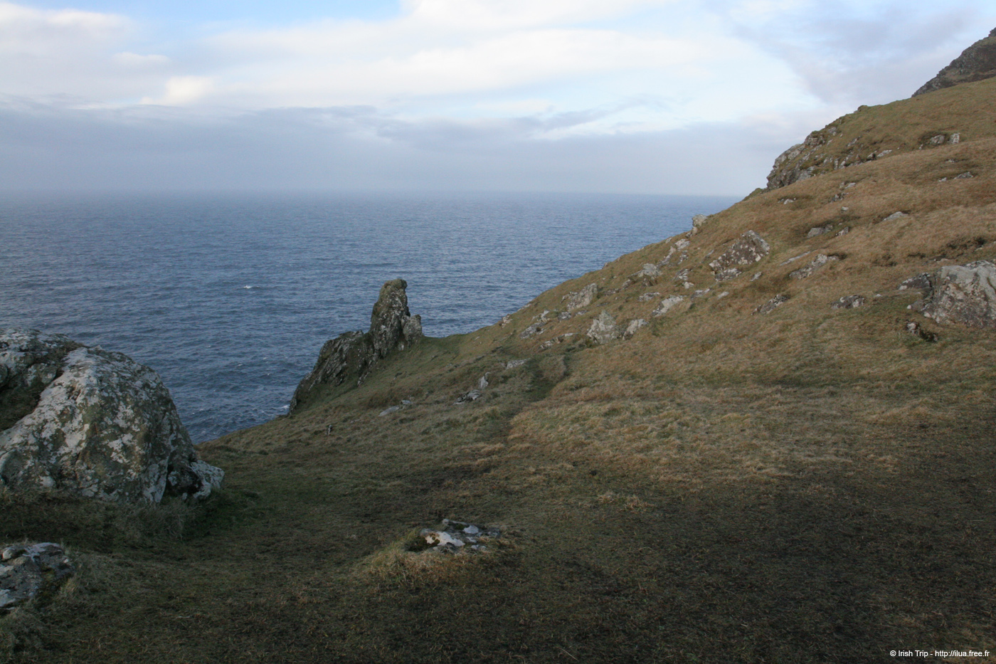 20060331_achillhead_34