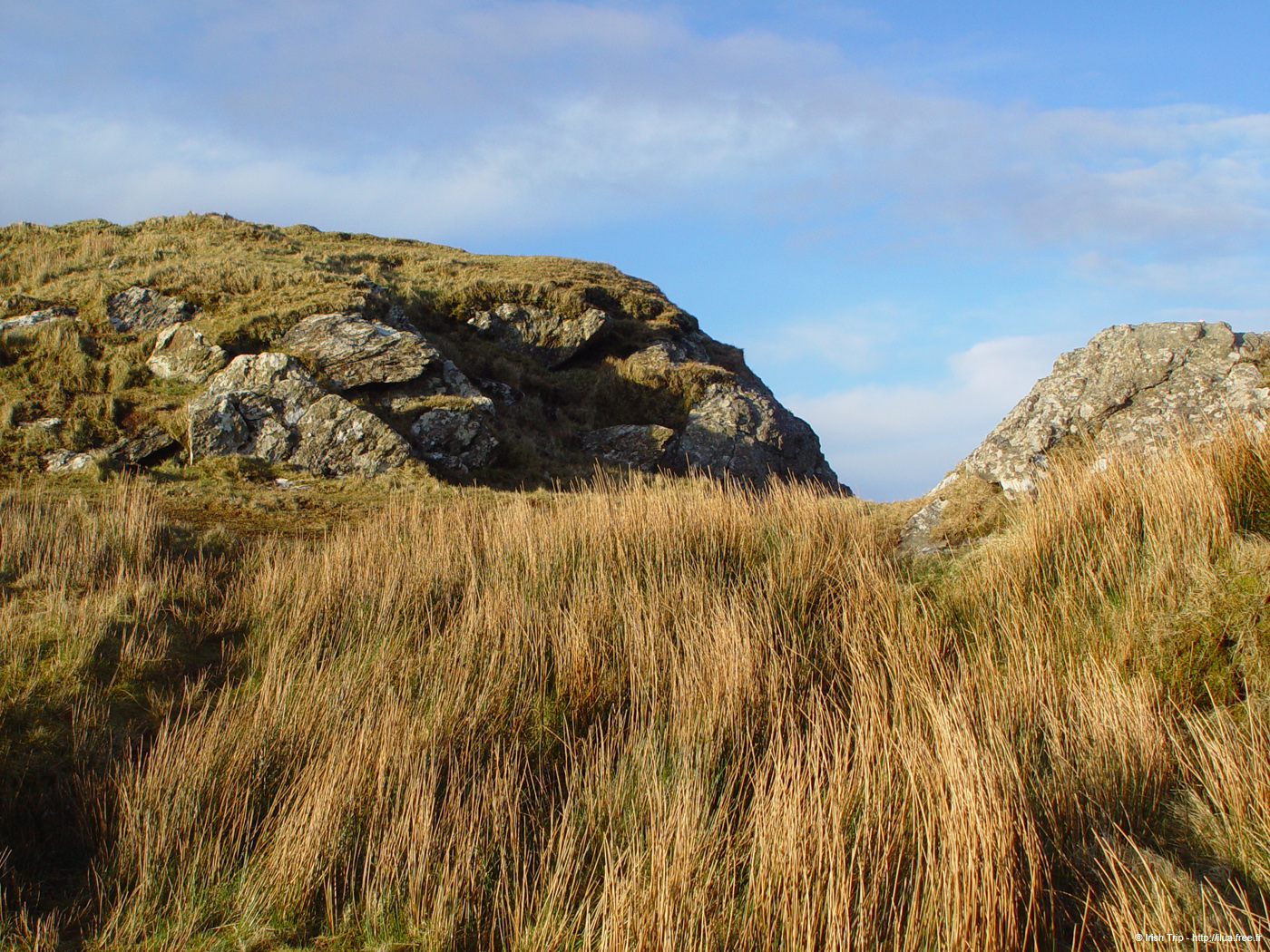 20060331_achillhead_35