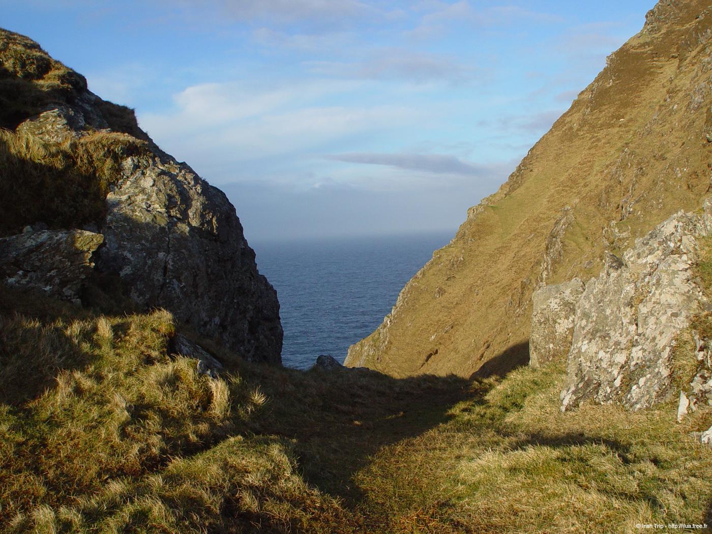 20060331_achillhead_36