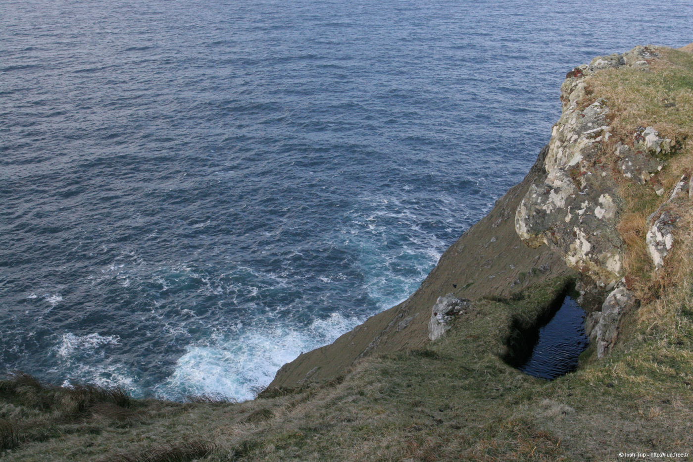 20060331_achillhead_37