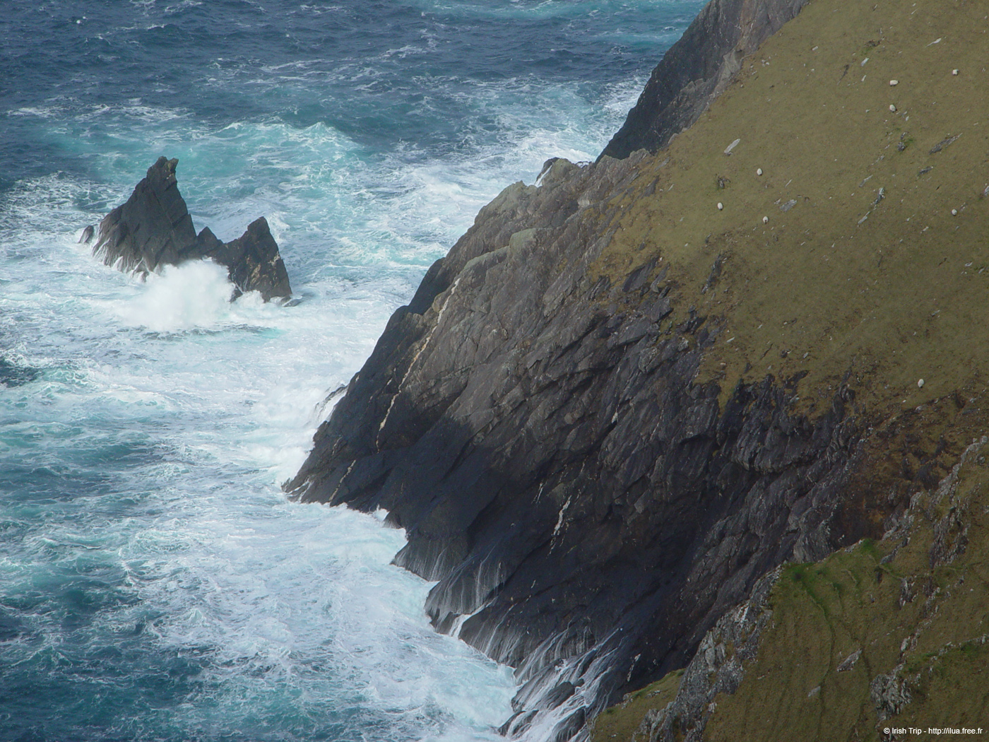 20060331_achillhead_38