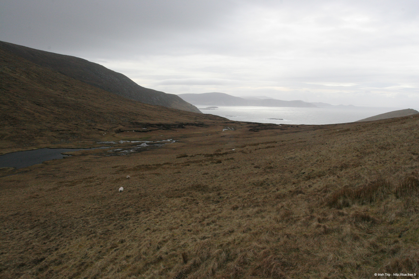 20060331_achillhead_39