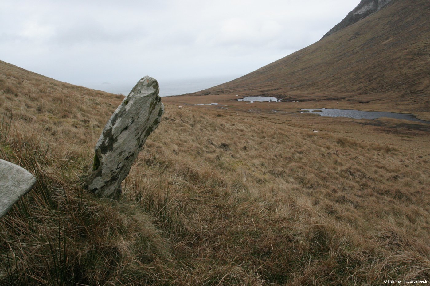 20060331_achillhead_40
