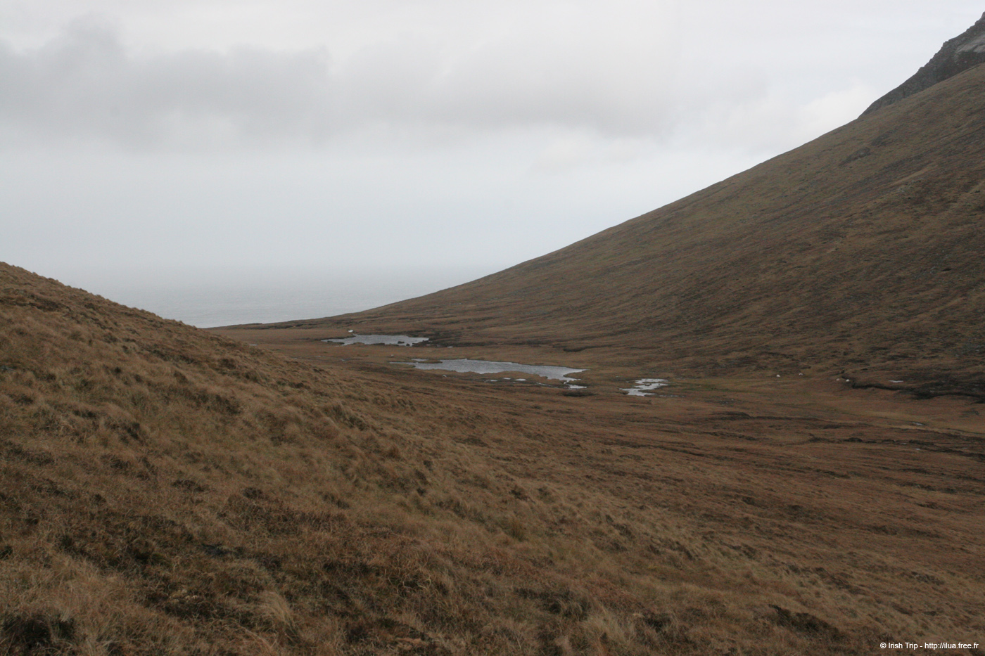 20060331_achillhead_41