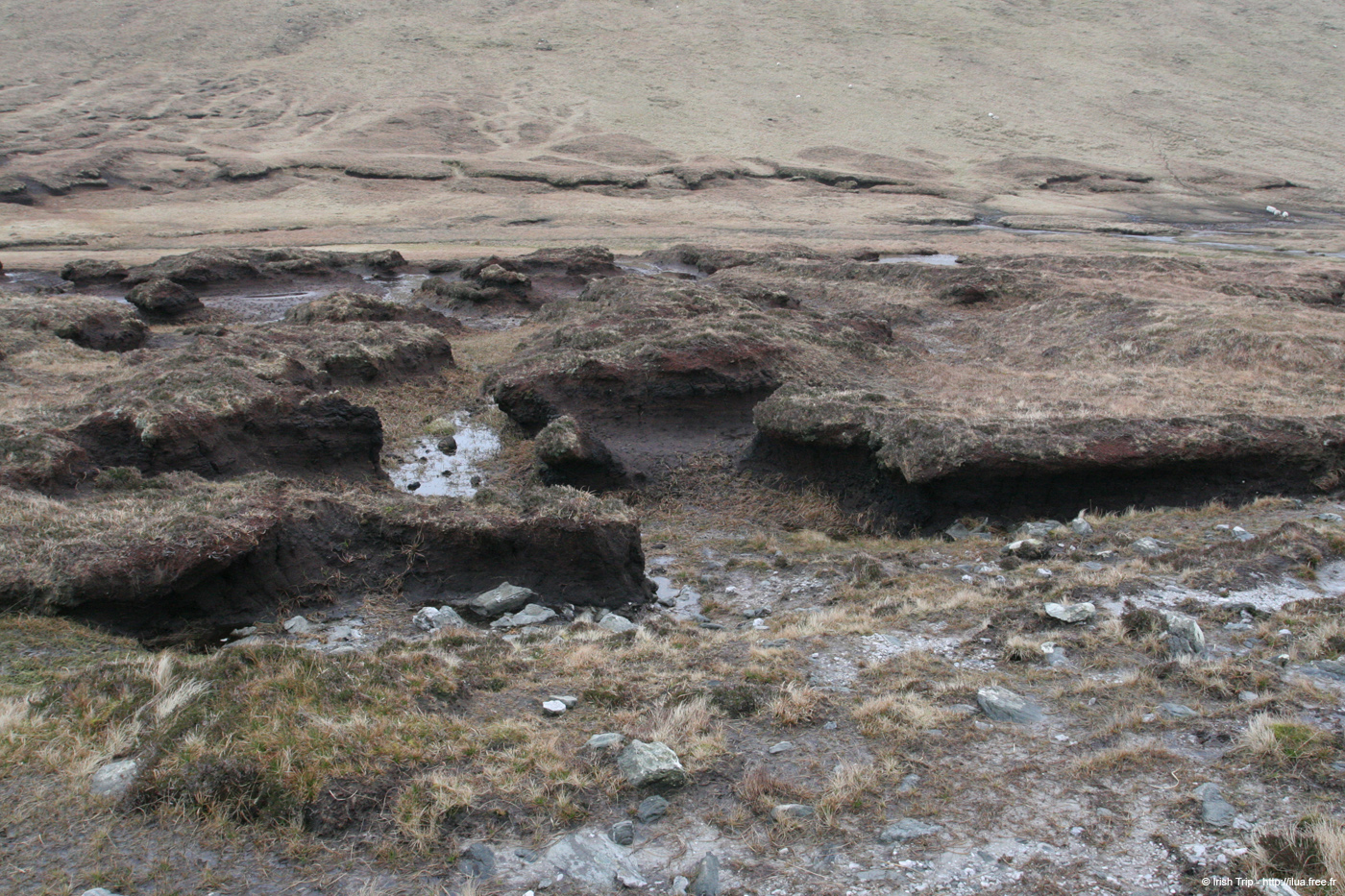 20060331_achillhead_42